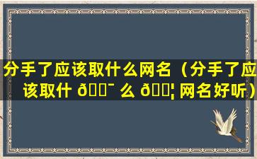 分手了应该取什么网名（分手了应该取什 🐯 么 🐦 网名好听）